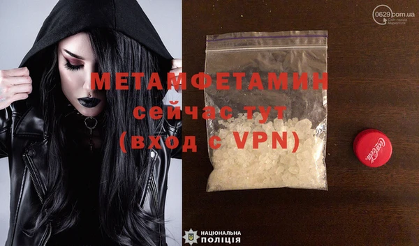 прущие грибы Иннополис