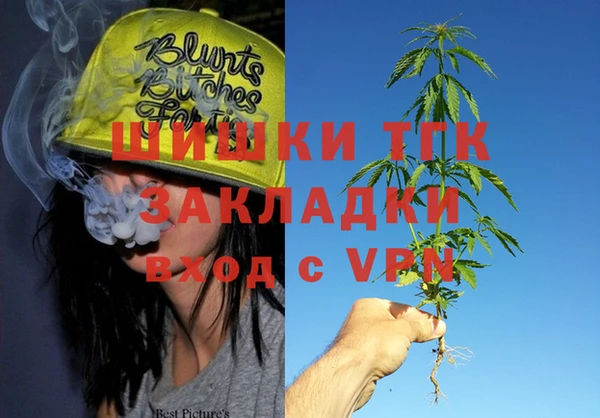 ешки Пестово
