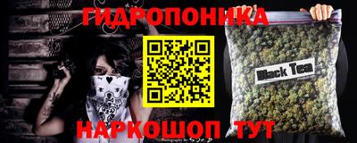дмт Бийск