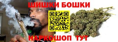 дмт Бийск