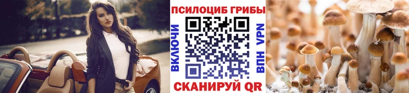 где купить   Кушва  OMG вход  Псилоцибиновые грибы Psilocybine cubensis 